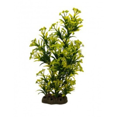 ΔΙΑΚΟΣΜΗΤΙΚΟ ΦΥΤΟ ΕΝΥΔΡΕΙΟΥ 36CM